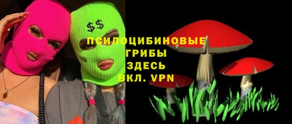 спиды Аркадак