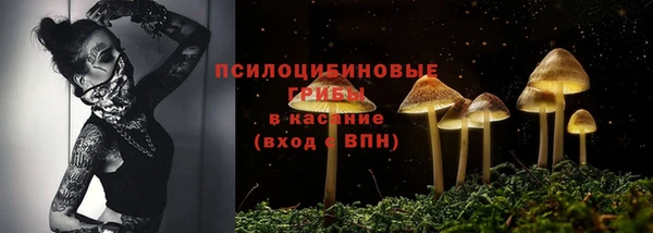 спиды Аркадак