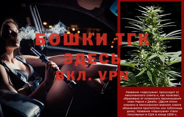 спиды Аркадак
