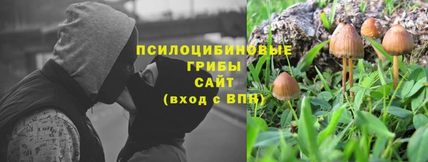 соль курить ск Арсеньев