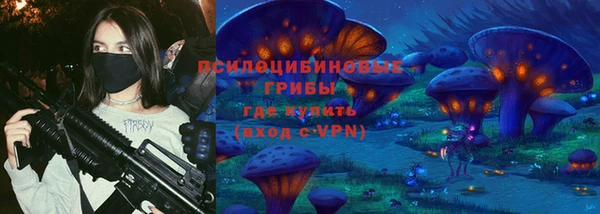 спиды Аркадак