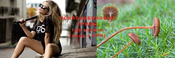 спиды Аркадак
